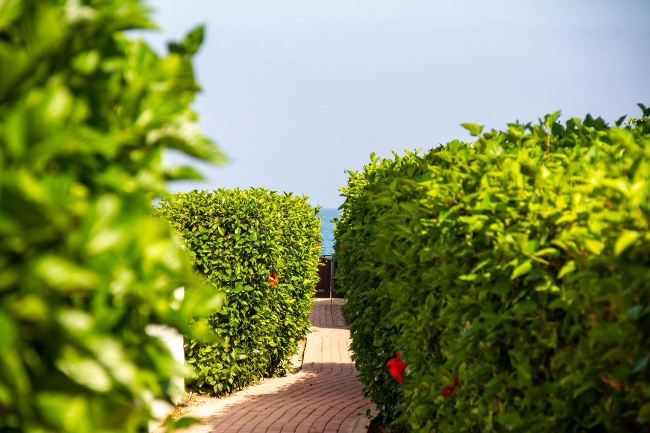 Atlantis Gardens Mazotos Exterior foto